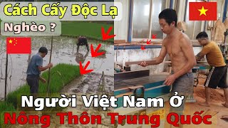 Thăm Nông Thôn Nghèo Trung Quốc Ngờ Ngãng Cách Cấy Lúa LạquotGặp Gỡ Nhiều Người Việt Nam [upl. by Ahseiyk]