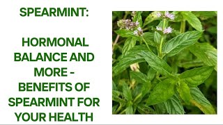 Spearmint and Hormonal Balance [upl. by Firehs]