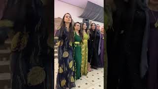 Kurdish Dance Kurdish Culture Kurdish Folklore shorts shortvideo youtubeshorts trending lore [upl. by Rosenthal]