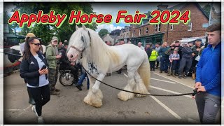 Appleby Horse Fair 2024 [upl. by Yragerg]