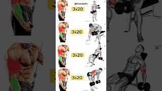 Ultimate Biceps Workout 4 Moves for Maximum Gains shorts biceps workout motivation [upl. by Yllehs]