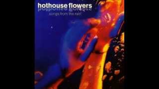 Hothouse Flowers  This Is It Your Soul [upl. by Asreht]