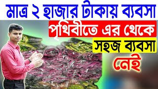 মাত্র ২ হাজার টাকায় এই ব্যবসা  Small Business Ideas 2023  Low Invest Startup Ideas [upl. by Nnaassilem]