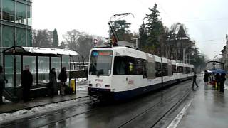 TPG Genève Tramway at AmandolierSNCF [upl. by Aeduj703]