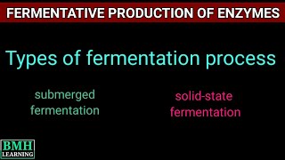 Fermentative Production Of Enzymes  General Procedure For Enzyme Production [upl. by Nomrej]