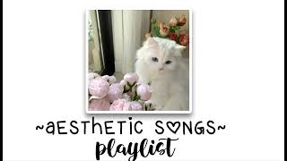 aesthetic songs playlist🤍🩷 [upl. by Ttereve]