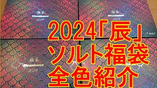 【入荷情報】Megabass 福袋 2024 for SALT メガバス 福袋 2024 「辰」 [upl. by Scherle128]