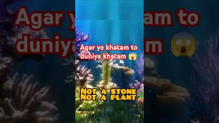 CORAL REEF  INTRESTING FACT WATER ECOSYSTEM ecosystem coralreef facts hindi shorts 1million [upl. by Ecnirp]