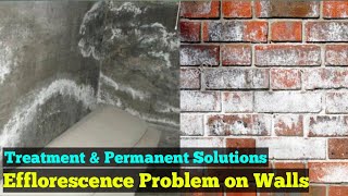 Efflorescence Effect amp Treatment  How to Remove Efflorescence from Brick [upl. by Niarb]