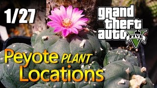 GTA 5  Peyote Plant Locations 0127 [upl. by Garik]