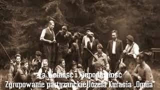 Za Wolność i Niepodległość Zgrupowanie partyzanckie Józefa Kurasia Ognia  Audiobook PL [upl. by Notnelc387]