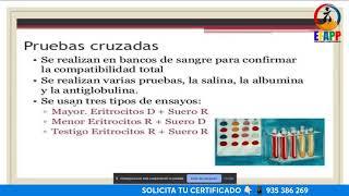 𝗖𝗨𝗥𝗦𝗢 𝗚𝗥𝗔𝗧𝗨𝗜TO LABORATORIO CLÍNICO EN HEMATOLOGÍA📚 [upl. by Sibel400]