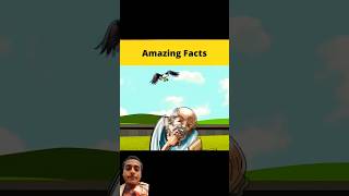 Ep 1 top 3 amazing facts cartoon storybeast animation story kahani amazingfacts [upl. by Ielak]