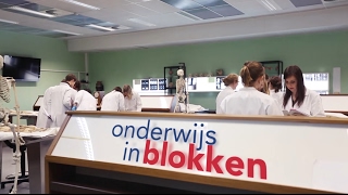 Geneeskunde studeren aan UHasselt [upl. by Ellehcen]