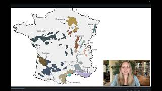 The Wines of Rhone Valley Quick Class [upl. by Enovaj]