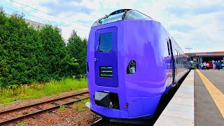 Riding Japans Summer Limited Express Train in Hokkaido  Furano Lavender Express [upl. by Najib]