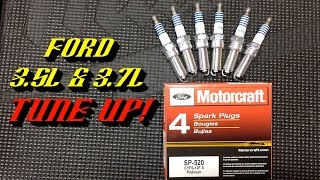 20112017 Ford 35L amp 37L Duratec V6 Engines Spark Plug Replacement [upl. by Nodnol]