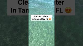 📍 Clearest water in Tampa Bay 😍fortdesoto floridatravel summer floridabeaches florida travel [upl. by Stanislaus]