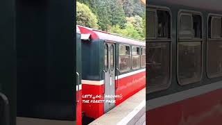 Ride the Alishan Forest Train Taiwan [upl. by Gnilrets443]