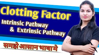 Clotting Factors  Intrinsic Pathway  Extrinsic Pathway [upl. by Esya88]