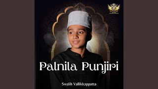 PALNILA PUNJIRI [upl. by Nylassej]