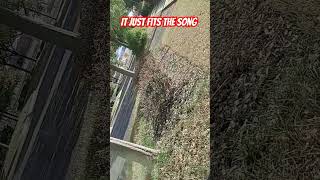 Sight with sound 2024 edit music song love life live view moments fall weather america [upl. by Guy]