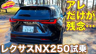 レクサス 新型NX250 試乗！ 買い得モデルだが、 唯一アレだけが気になる…ソレ以外はバランスの良い仕上がりだけに… [upl. by Riccio833]