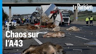 Un fiché S fait demitour après laccident dune bétaillère et sème le chaos sur lA43 [upl. by Alcina]