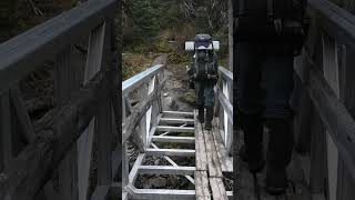 Rockin the Rockwall hiking canadianrockies [upl. by Agem]