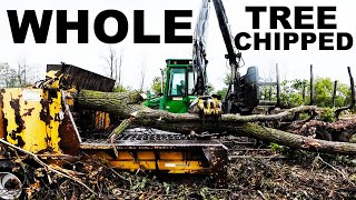 525 HP WOOD CHIPPER  SHREDS 26quot WHOLE TREES AT ONCE [upl. by Ellenrahs]