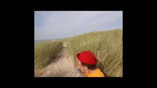 If you Cant Stay Straight Keep on Playing the Harmonica  20240806 Cadzand NL shortsvideo [upl. by Eanod]