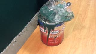 Review of Glidden Duo Satin Interior Semipremium Paint [upl. by Ain190]