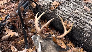 Georgia whitetailed deer Hunt Public land Bonus buck [upl. by Josy]