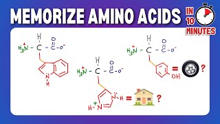 Memorize and Draw the 20 Amino Acids [upl. by Garrett]