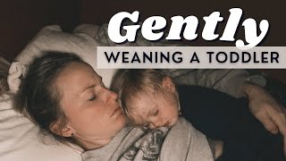 Gently weaning a toddler from nursing  18 months old [upl. by Enialahs]