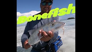 exploring the Joulter Cays for bonefish [upl. by Adnohryt]