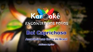 Karaokê Amazônia nas Cores do Brasil  Boi Caprichoso 2015 [upl. by Annoeik]