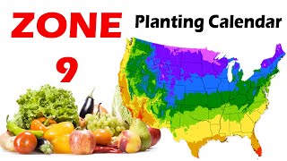 Zone 9 Planting Calendar  Guide to Successful Gardening in Zone 9 [upl. by Atiuqahc444]