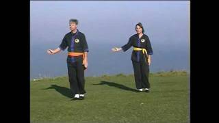 Introduction to the Lee Style Tai Chi Form [upl. by Dahc]