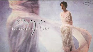 Enya  Orinoco Flow Lyric Video [upl. by Nylaras479]