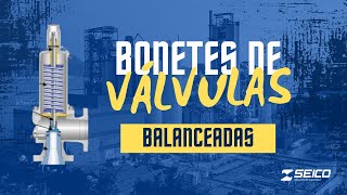 Bonetes de válvulas de seguridad balanceadas  Usos y ventajas [upl. by Riabuz]