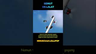 Pertarungan semut vs lalat cuplikanfilm [upl. by Tigdirb]