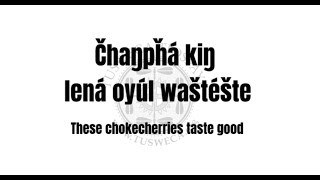 Čhaŋpȟá kiŋ lená oyúl waštéšte  These chokecherries taste very good [upl. by Eelyah]