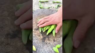 Cutting process of edamame [upl. by Adierf]