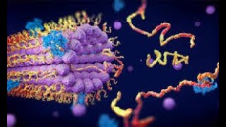 CLASSIFICATION OF ENZYMES BIOLOGY FOR ENGINEERS [upl. by Reeba]