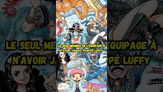 Qui est le seul membre de l’équipage à n’avoir jamais tapé Luffy  onepiece anime manga luffy [upl. by Meek226]