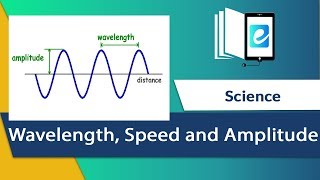 Wavelength Speed Amplitude and Frequency [upl. by Lem]