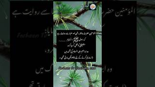 khazrat Ayesha RAchapkli lizard Farheen TvShortsHistoryislamic Storiesfarheen khan [upl. by Dachia]