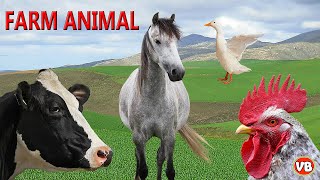 Animais Domésticos  Som dos Animais de Fazenda [upl. by Naujed495]