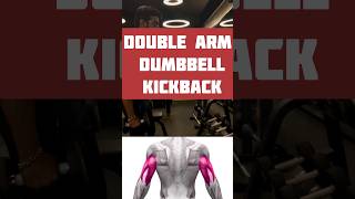 Double arm dumbbell kickback tricepsworkout viralshort shortfeed gym [upl. by Guillaume]